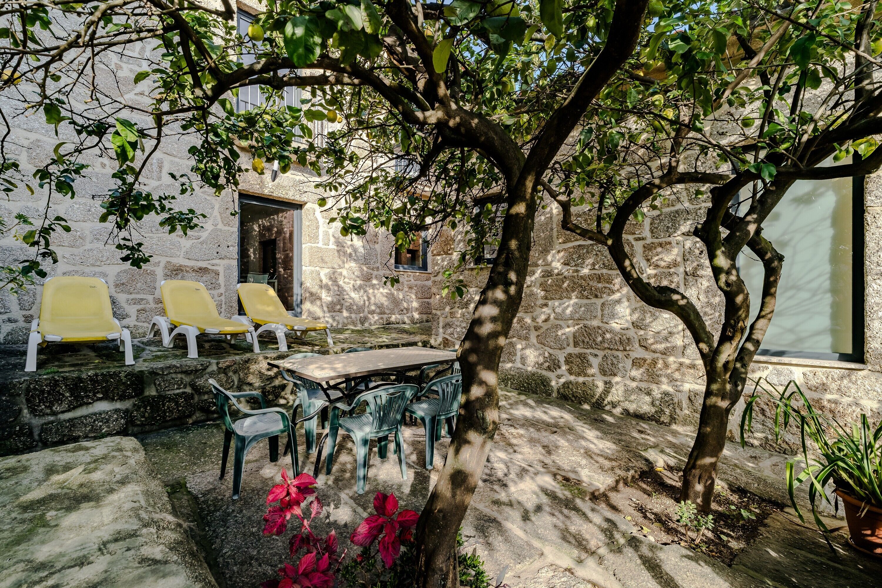 Restauration en plein air