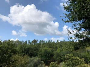 منوع