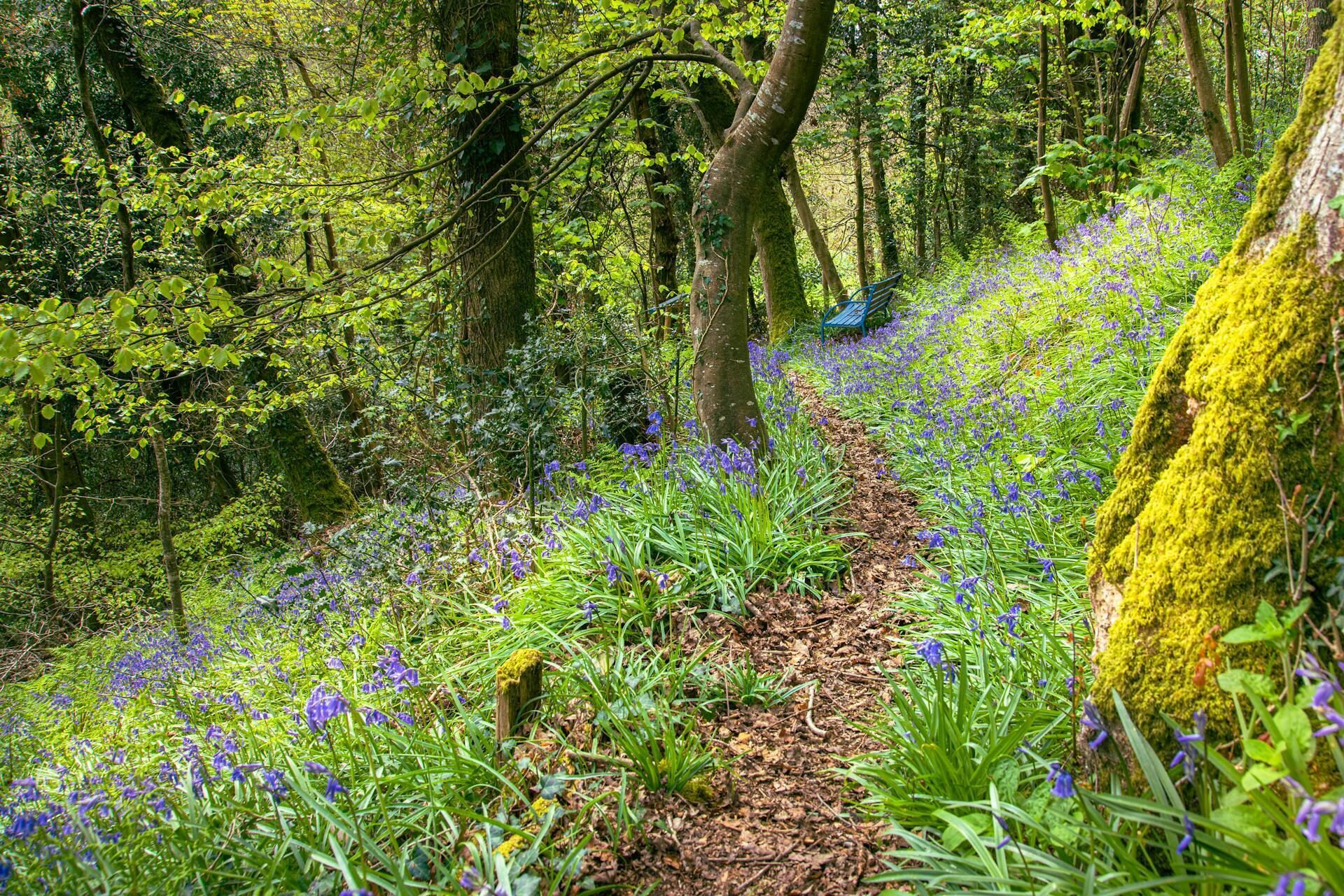 المنطقة المحيطة بالمنشأة