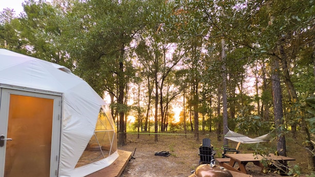Une tente avec une porte, un hamac, des tables de pique-nique et un barbecue, le tout installé dans un espace boisé.