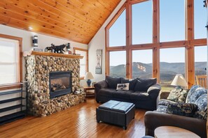 Televisión, chimenea y libros 