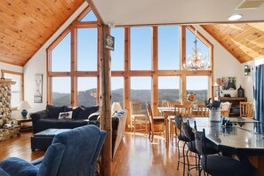 Televisión, chimenea y libros 