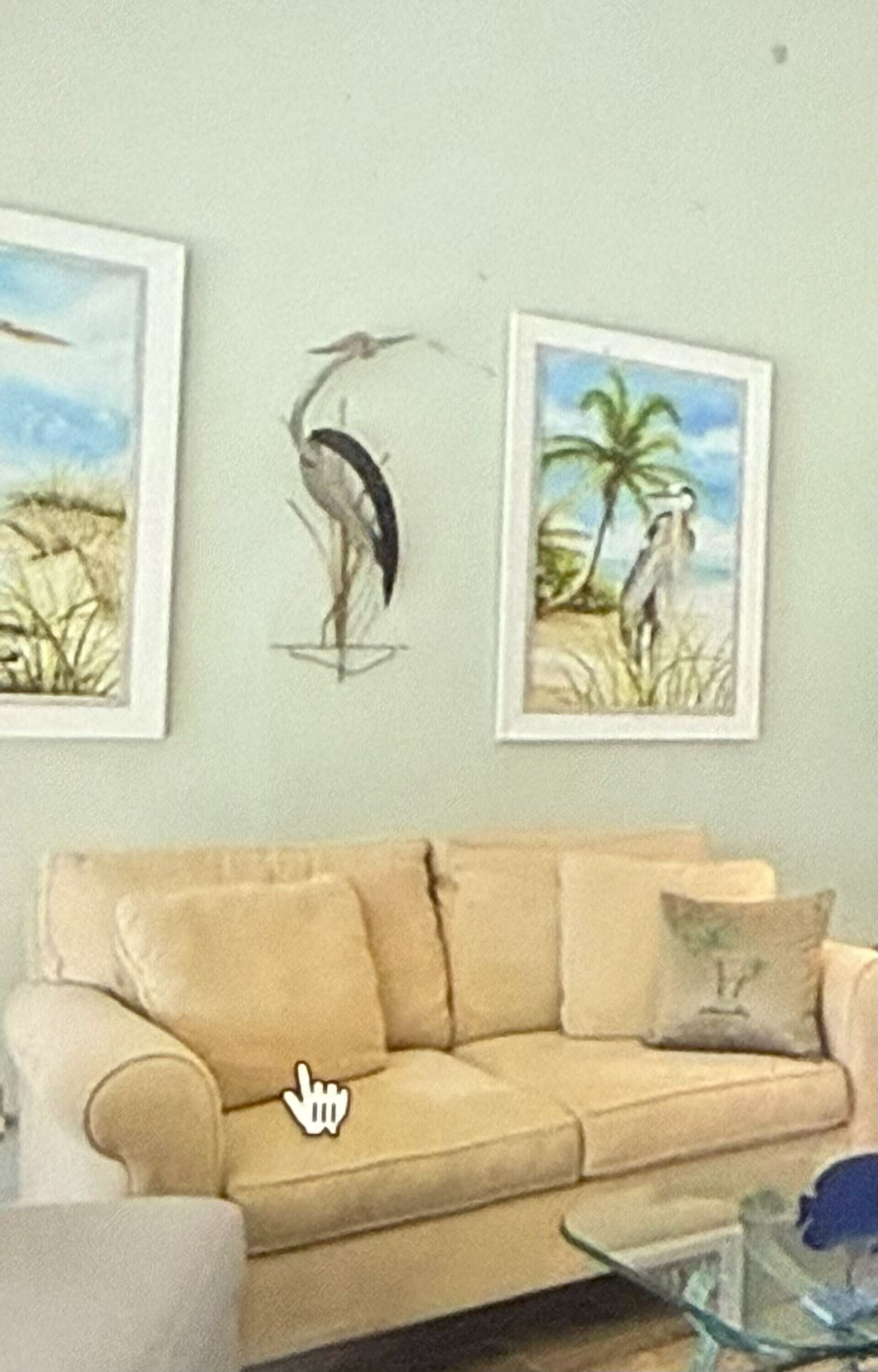 En stue med en beige sofa, et glasbord og indrammede billeder af dyreliv på væggen.