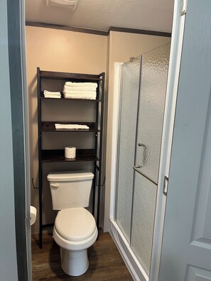 Shower, towels, toilet paper