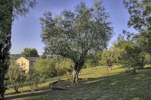 House | 2 bedrooms, Internet