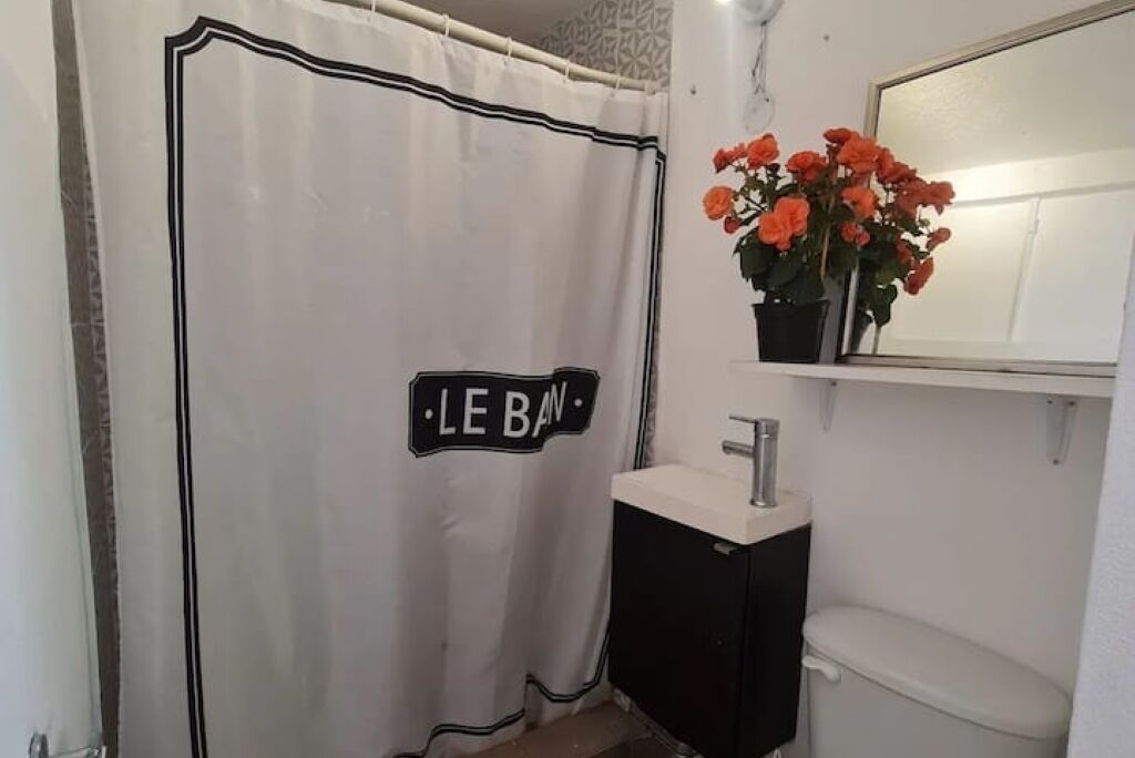 Casa de banho com cortina de chuveiro branca, pia, espelho e planta em vaso com flores laranja.