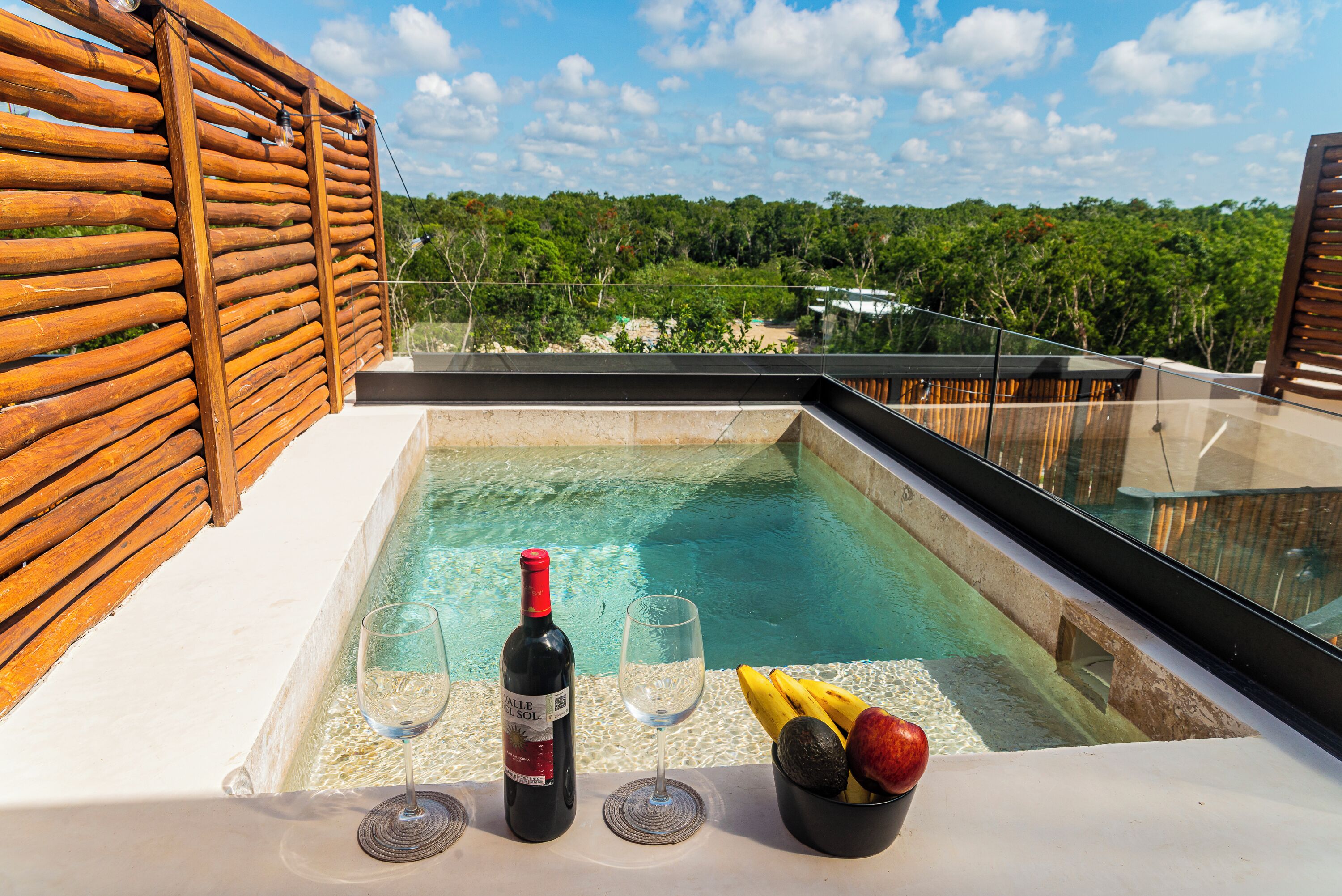 Superior-studiolejlighed - 1 kingsize-seng med sovesofa - privat pool - udsigt til have | Privat pool
