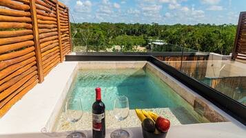 Superior Studio, 1 King Bed with Sofa bed, Private Pool, Garden View | Private pool