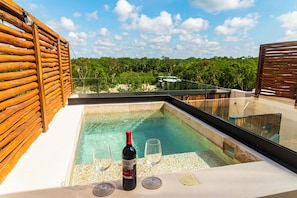 Studio supérieur, 1 très grand lit et 1 canapé-lit, piscine privée, vue sur le jardin | Piscine privée