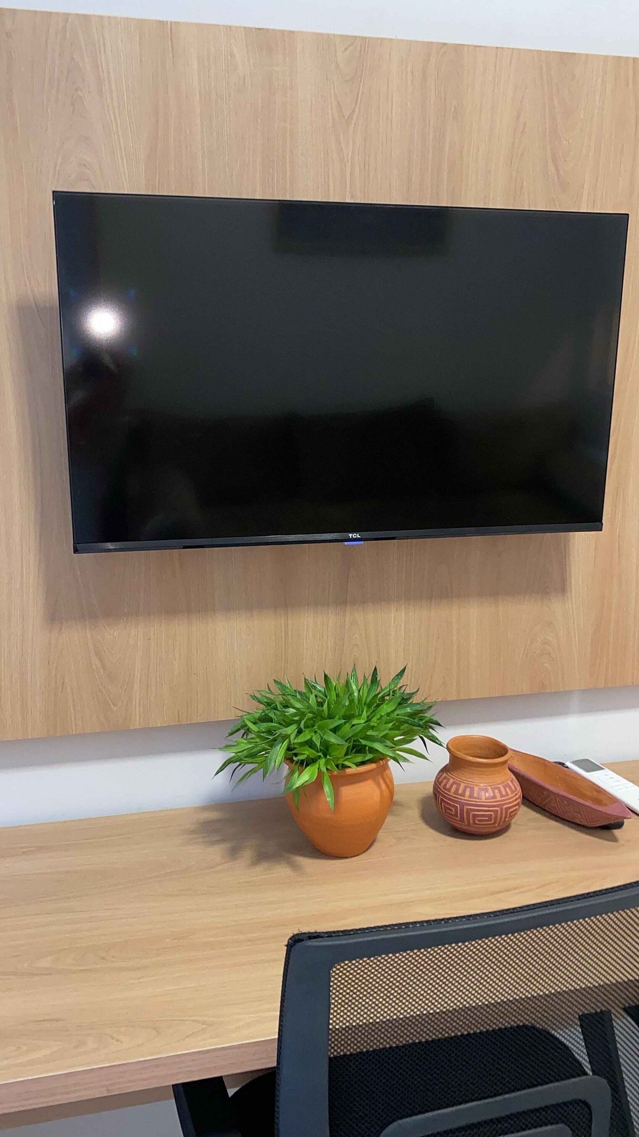 Un téléviseur à écran plat fixé à un mur en bois, une plante en pot et un petit objet décoratif posé sur une table en bois.