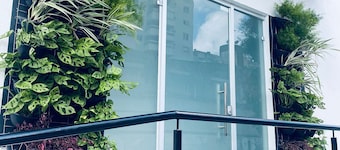 HN Pariquis