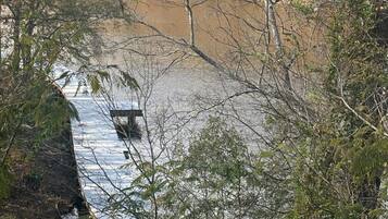 Un río con un muelle de madera que se adentra en sus aguas, rodeado de árboles densos y una ladera boscosa al fondo.