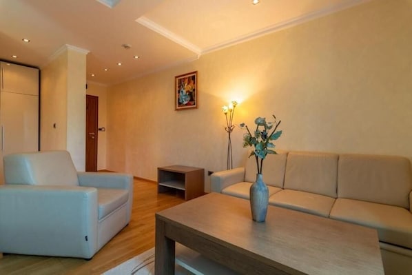 Living area - SKi Hotel (Žabljak)