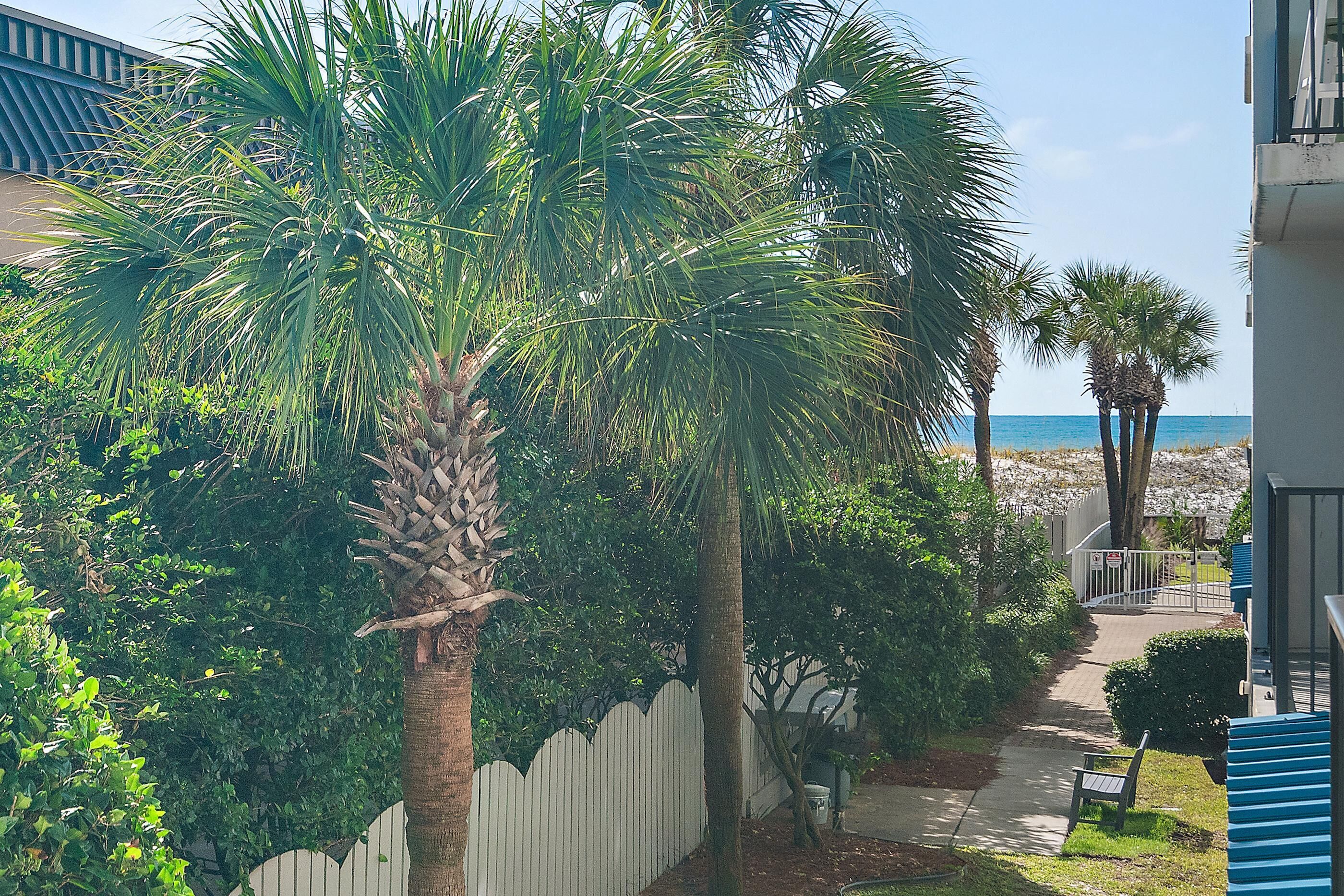 Condo, 1 cama King size y sofá cama (Sea Oats 211) | Áreas de la propiedad