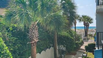 Condo, 1 cama King size y sofá cama (Sea Oats 211) | Áreas de la propiedad