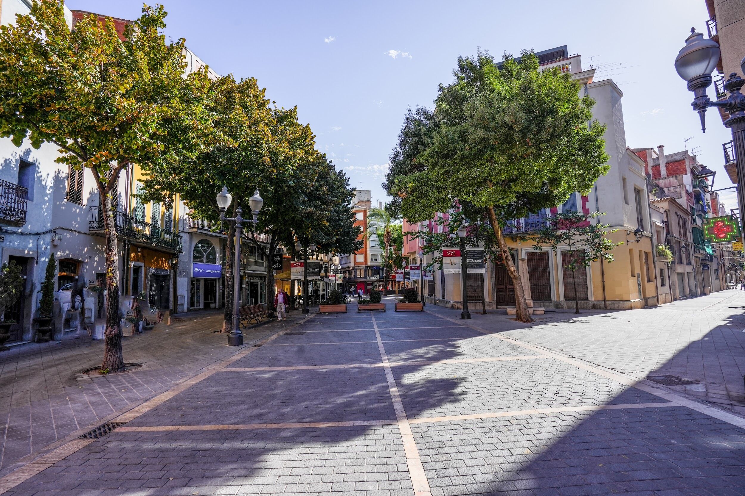 A quiet urban street with trees lining the sidewalks, storefronts, and a clear sky.
