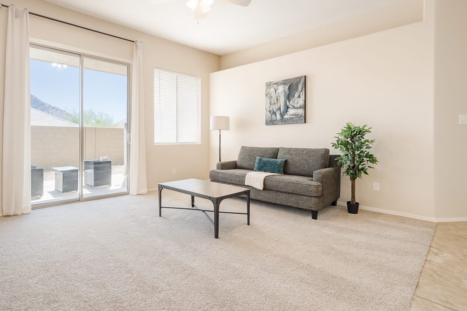 Televisión y chimenea 