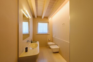 Shower, hair dryer, bidet, towels