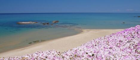 Talo | Näkymä majoituspaikasta