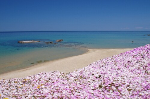 Vista Mare, Ampio Terrazzo e Aria Condizionata