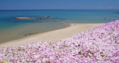 Vista Mare, Ampio Terrazzo e Aria Condizionata