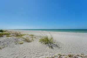 On the beach - Beachfront Bliss + BBQs! Indian Rocks Beach Escape (Indian Rocks Beach)