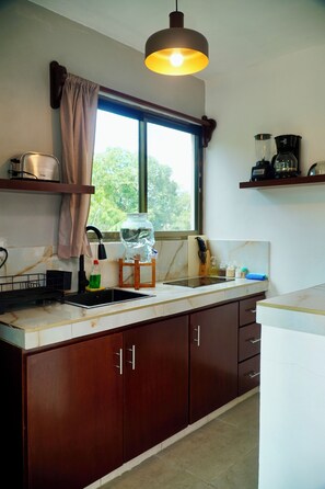 Classic Apartment, 1 Double Bed, Balcony, Garden View | Private kitchen