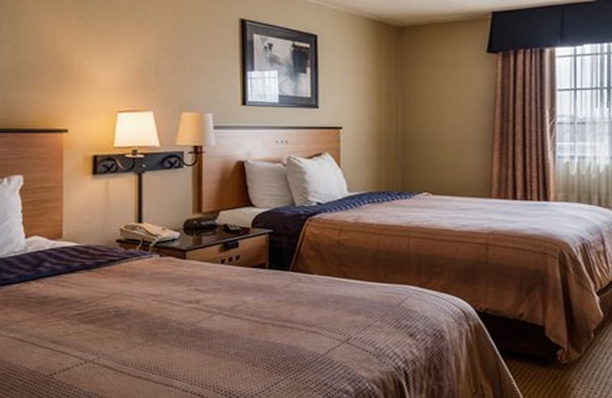 A hotel room with two beds, a nightstand with a lamp, a framed picture on the wall, and a window with curtains.