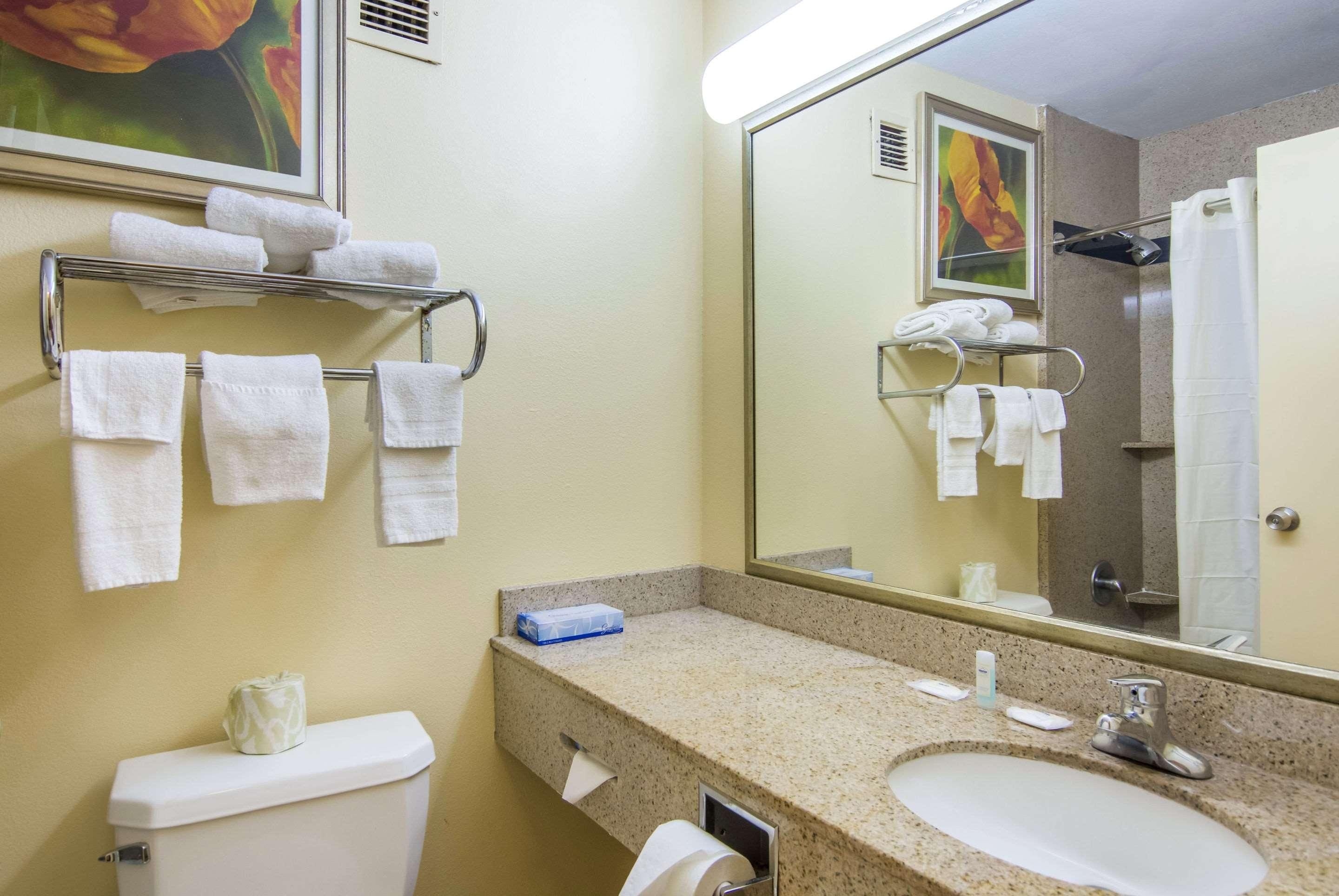 A bathroom with a toilet, sink, and towel rack.