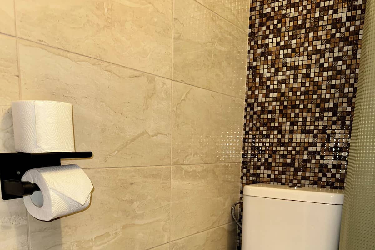 Un baño con inodoro, dispensador de papel higiénico y salpicadero de mosaicos.