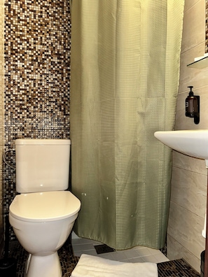 A bathroom with a toilet, a shower curtain, a sink, and a tiled wall. - Botel Albatros (Prague)