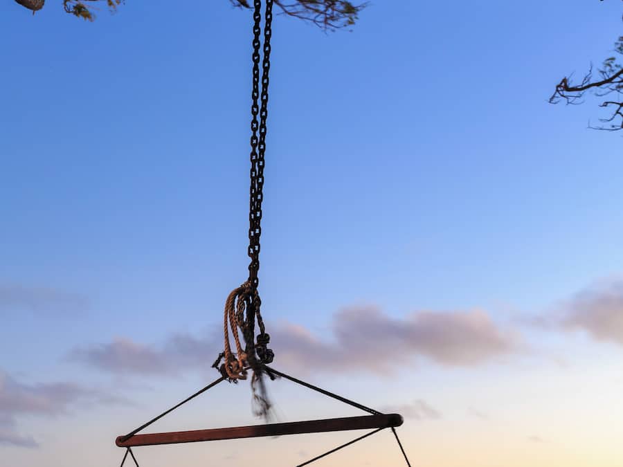 Una hamaca colgada de una rama de árbol sobre una playa, con el océano al fondo.