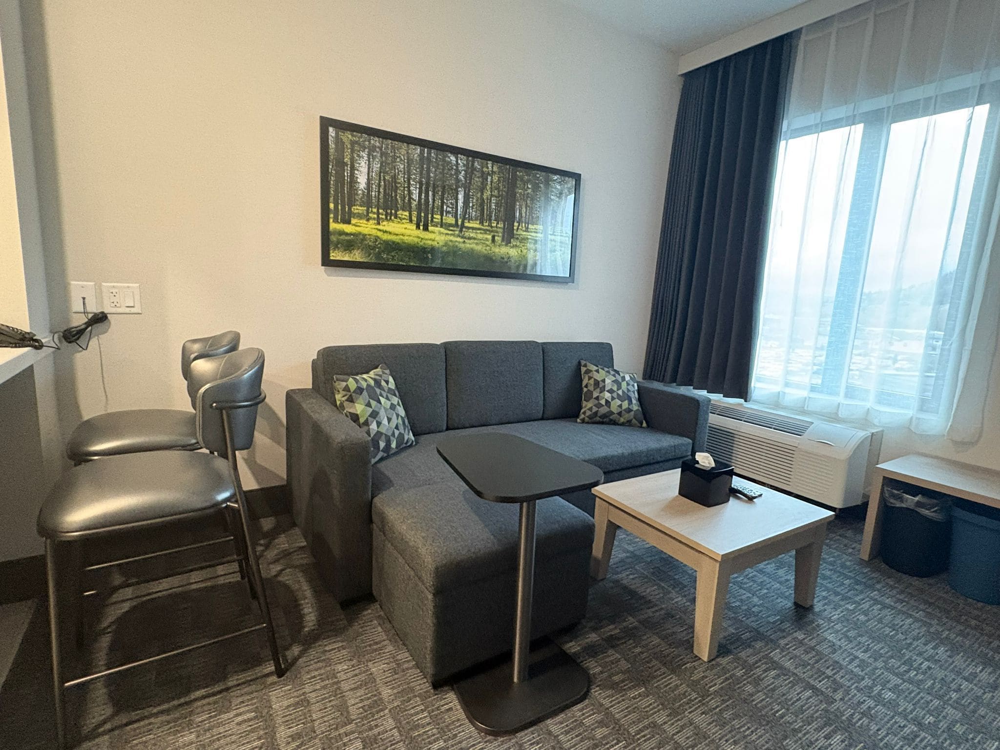 Suite, 1 Bedroom, Non Smoking | Living area