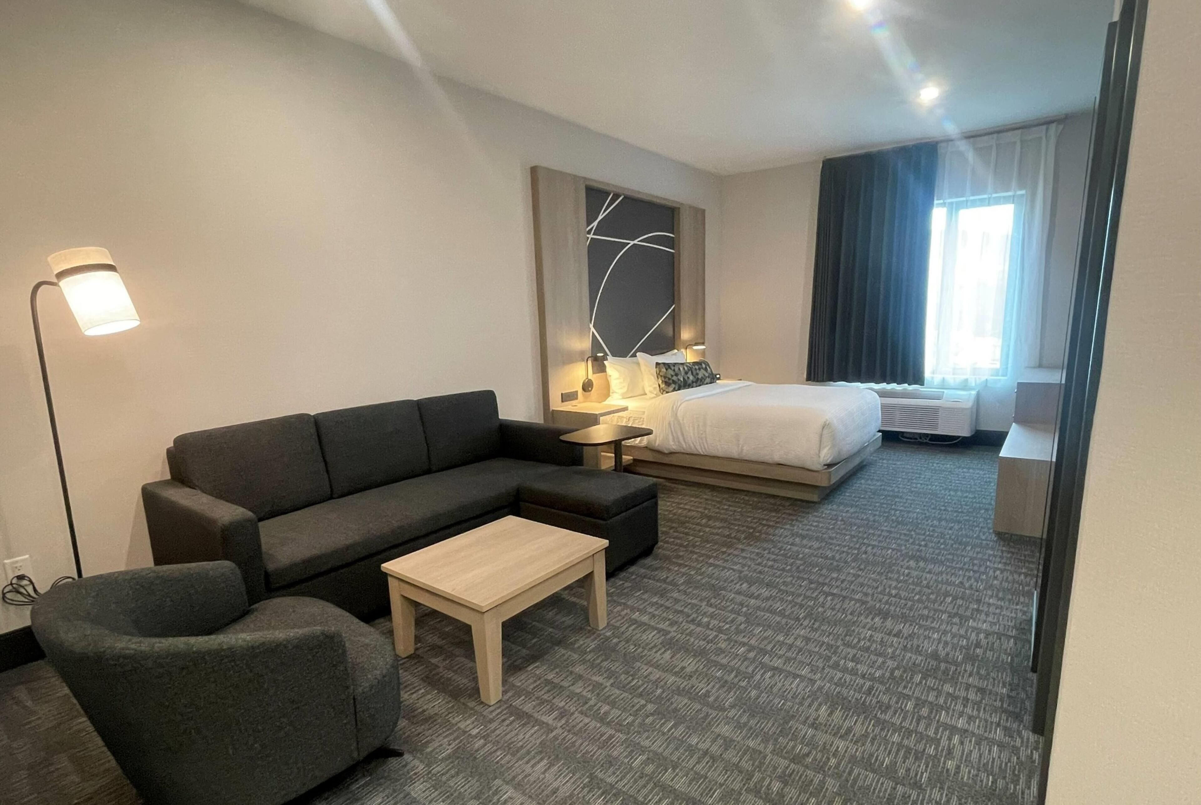 Room, 1 King Bed, Non Smoking (Sofabed)