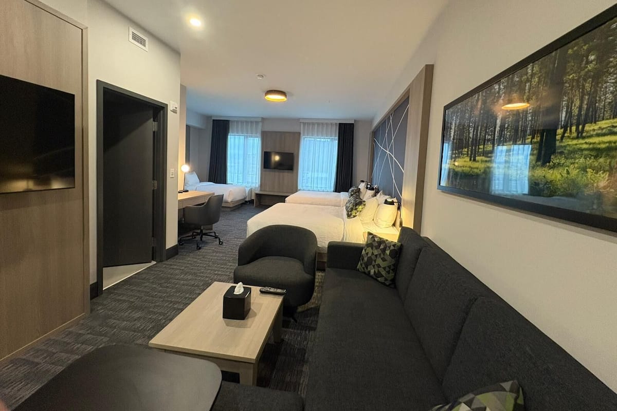 Executive-sviitti, useita sänkyjä, tupakointi kielletty (Sofabed, Family)