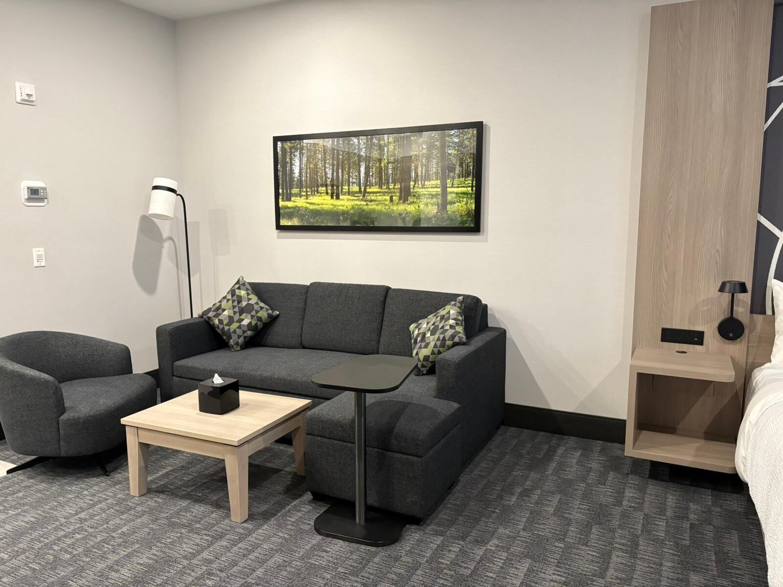 Ein modernes Hotelzimmer mit grauem Sofa, zwei Sesseln, einem kleinen Holztisch und einem gerahmten Bild einer Waldlandschaft an der Wand.
