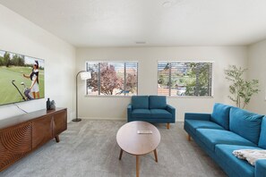 Smart TV, fireplace, books