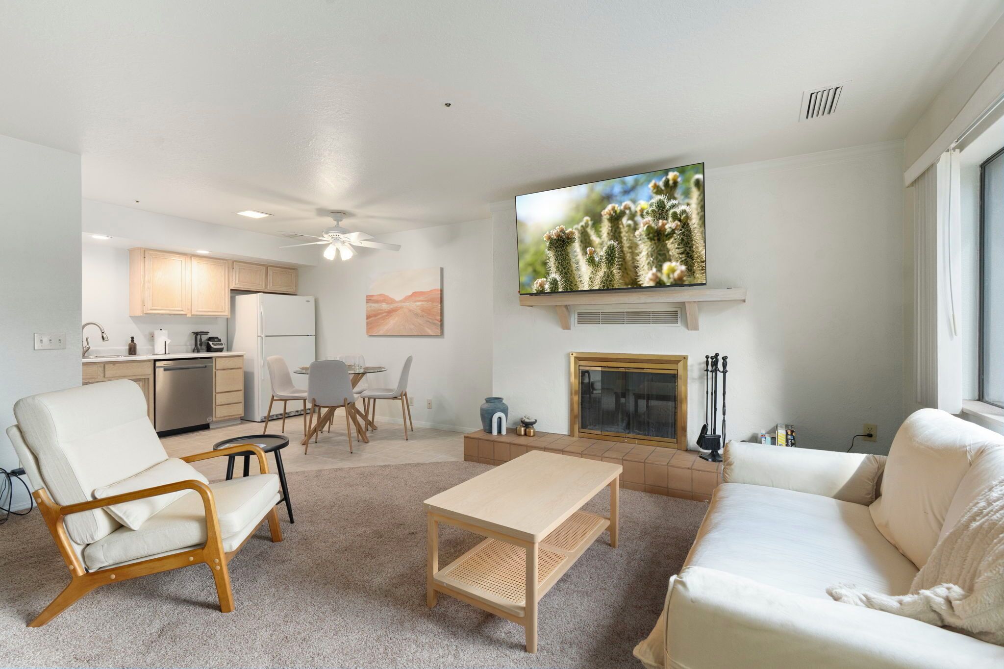 Smart TV, fireplace, books
