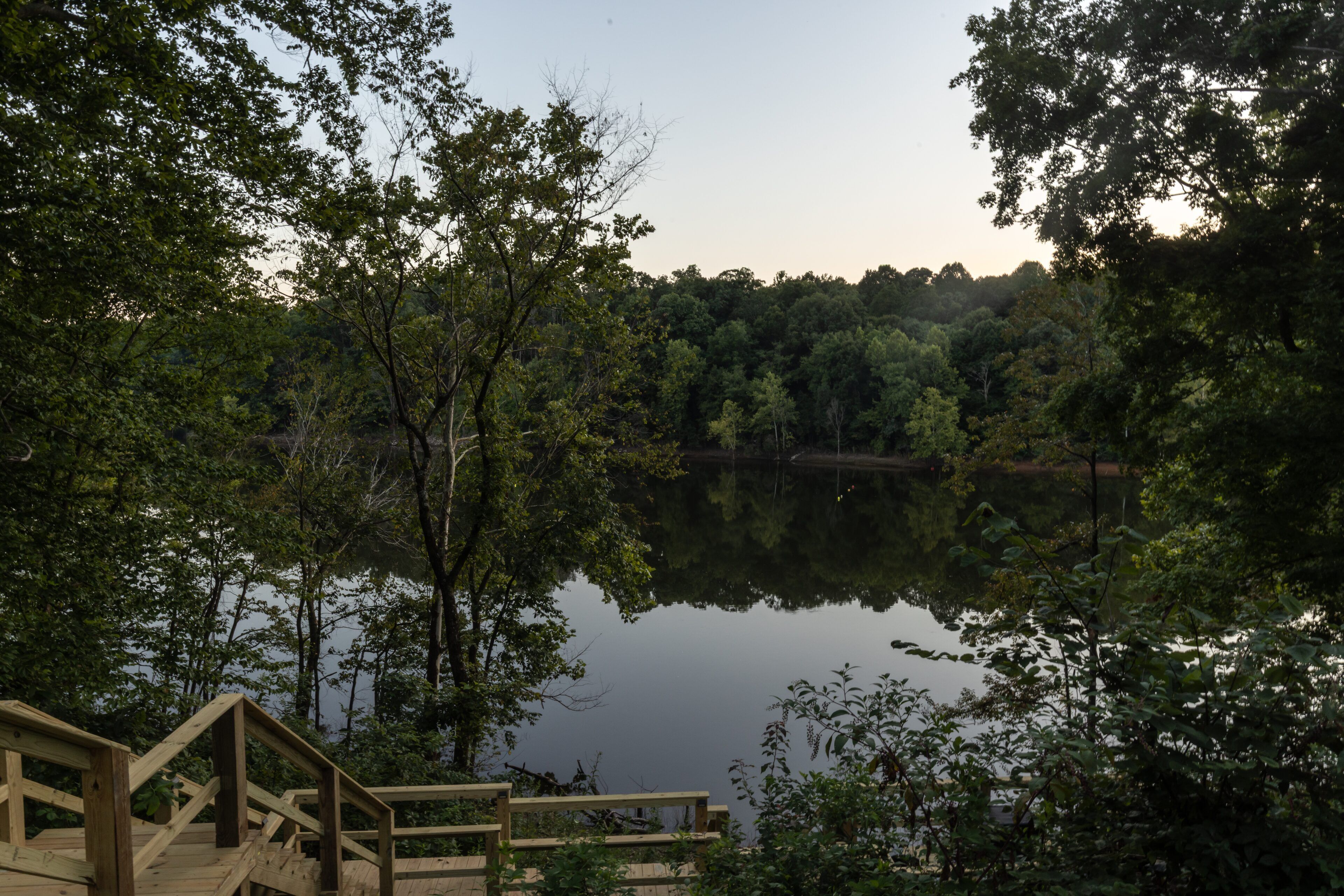 A wooden deck leading to a calm lake surrounded by dense trees.
