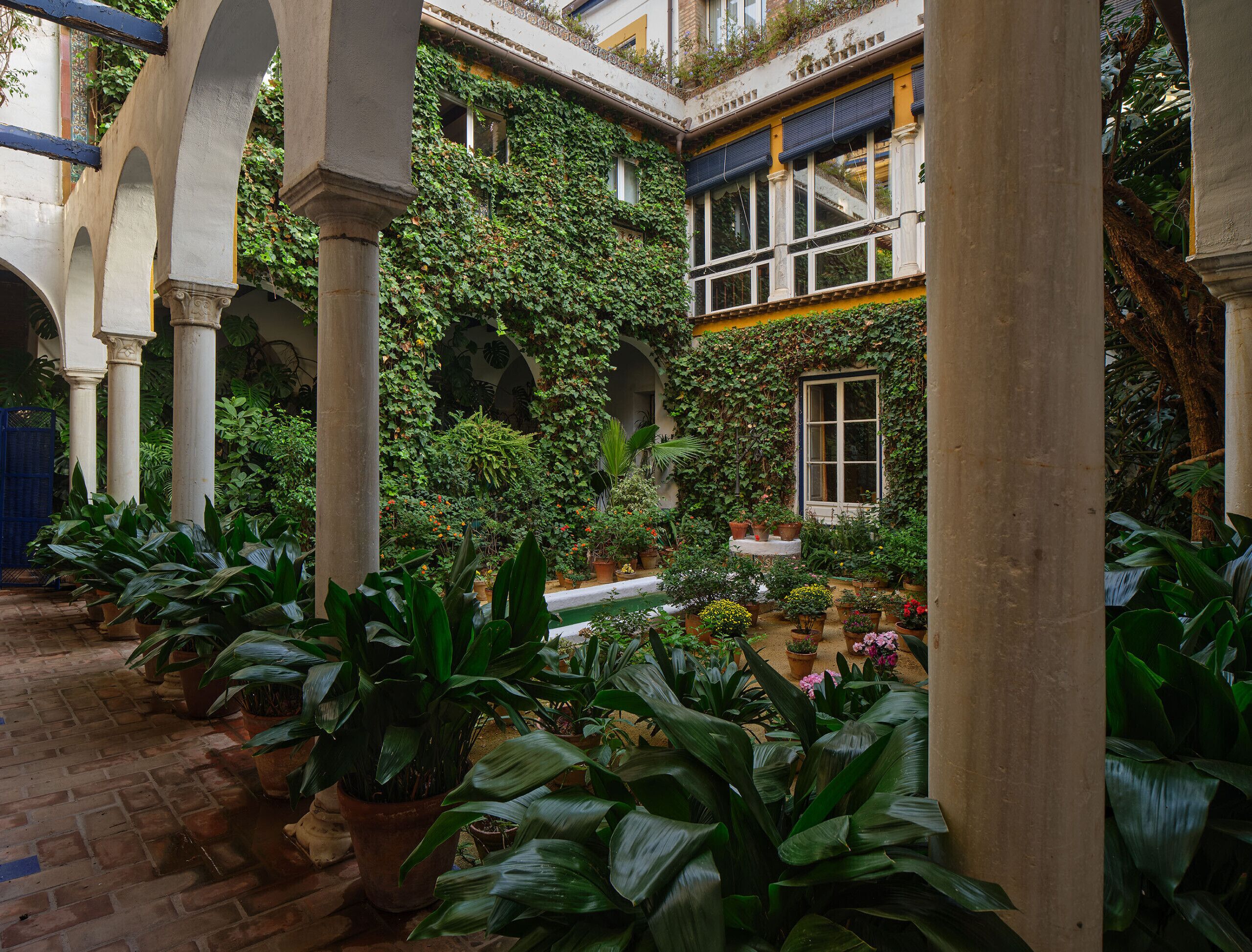 Een binnenplaats met potplanten, een met bakstenen bestraat pad en een gebouw met kolommen en een raam.
