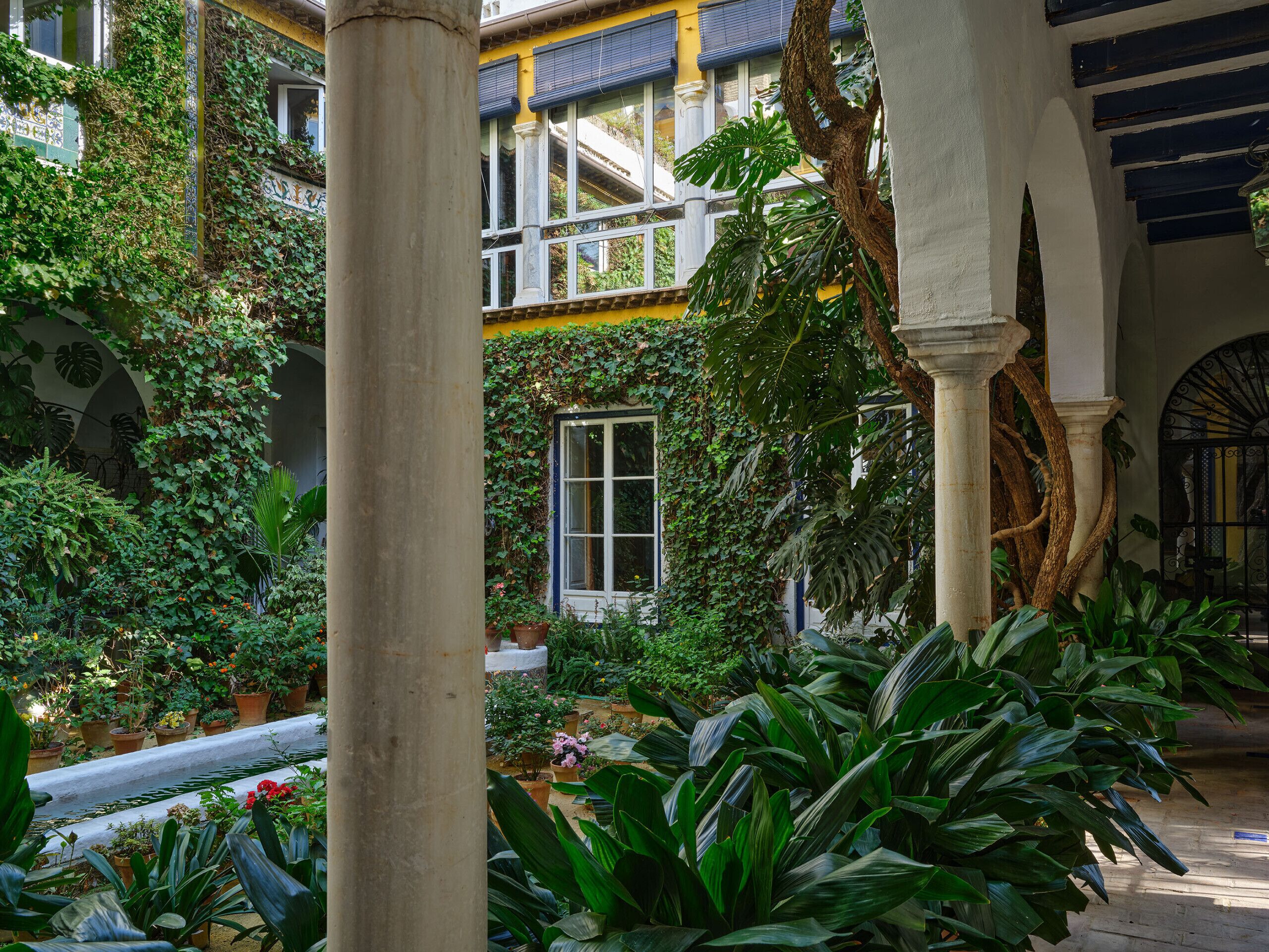 A lush courtyard with a variety of plants, a window with a view, and a traditional architectural style with columns and arches.
