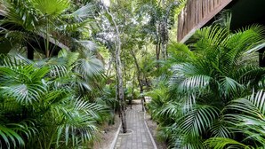 A pathway flanked by lush green foliage, leading to a building with a wooden facade. - 🌿 Jungle Penthouse w/ Private Pool | 4 Min to Beach + Town (Tulum)