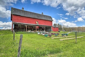 Property grounds - Family Suites • Autumn Midweek - 35% OFF Promo! (Pleasant Mount)