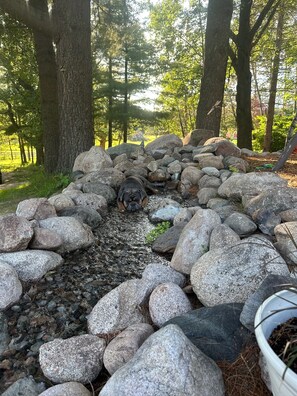 Overnatningsstedets område