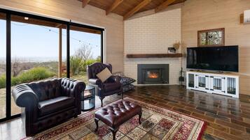 Smart TV, fireplace, books