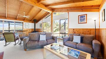 TV, fireplace, books