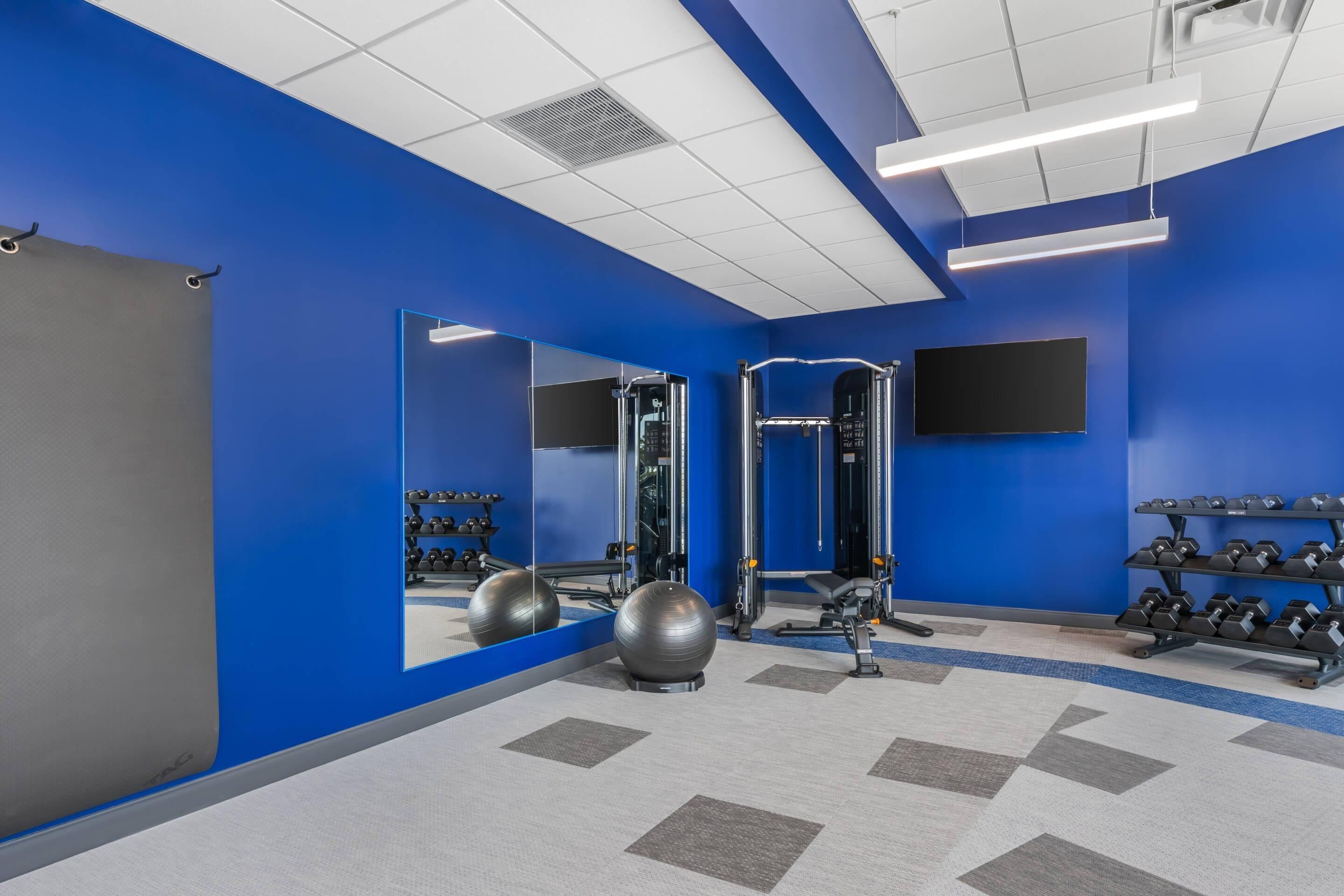 A gym with blue walls, a mirrored wall, and exercise equipment including dumbbells and a squat rack.