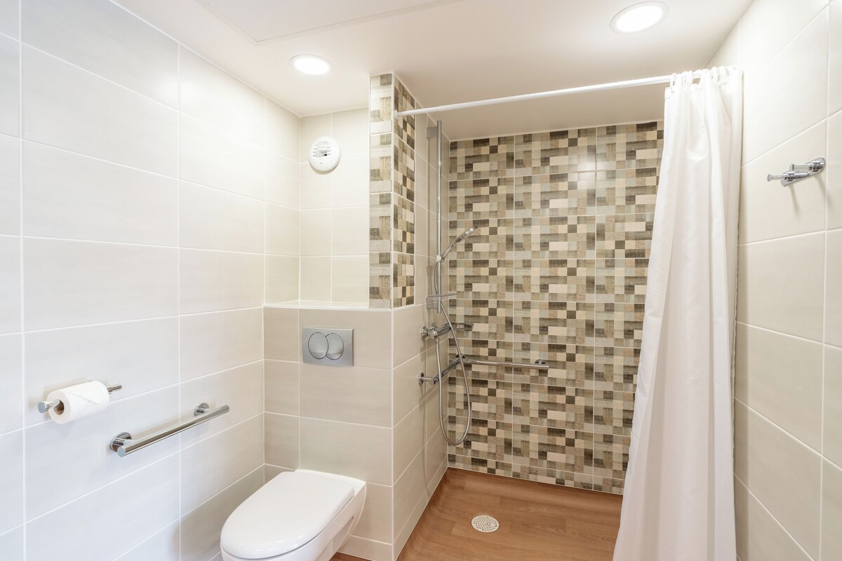 A bathroom with a shower, toilet, and handrails.