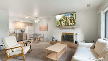 Smart TV, fireplace, books