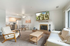 Smart TV, fireplace, books
